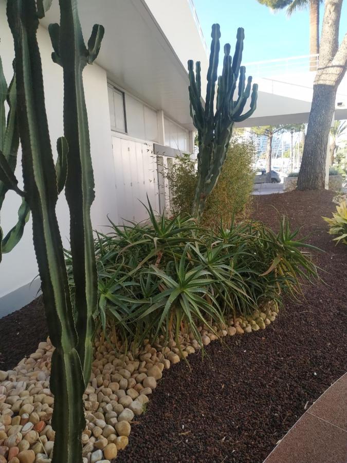 Studio Rez De Jardin Marina Baie Des Anges 빌뇌브루베 외부 사진