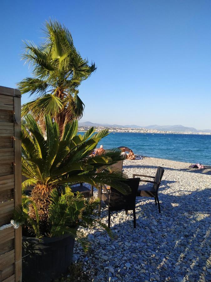 Studio Rez De Jardin Marina Baie Des Anges 빌뇌브루베 외부 사진