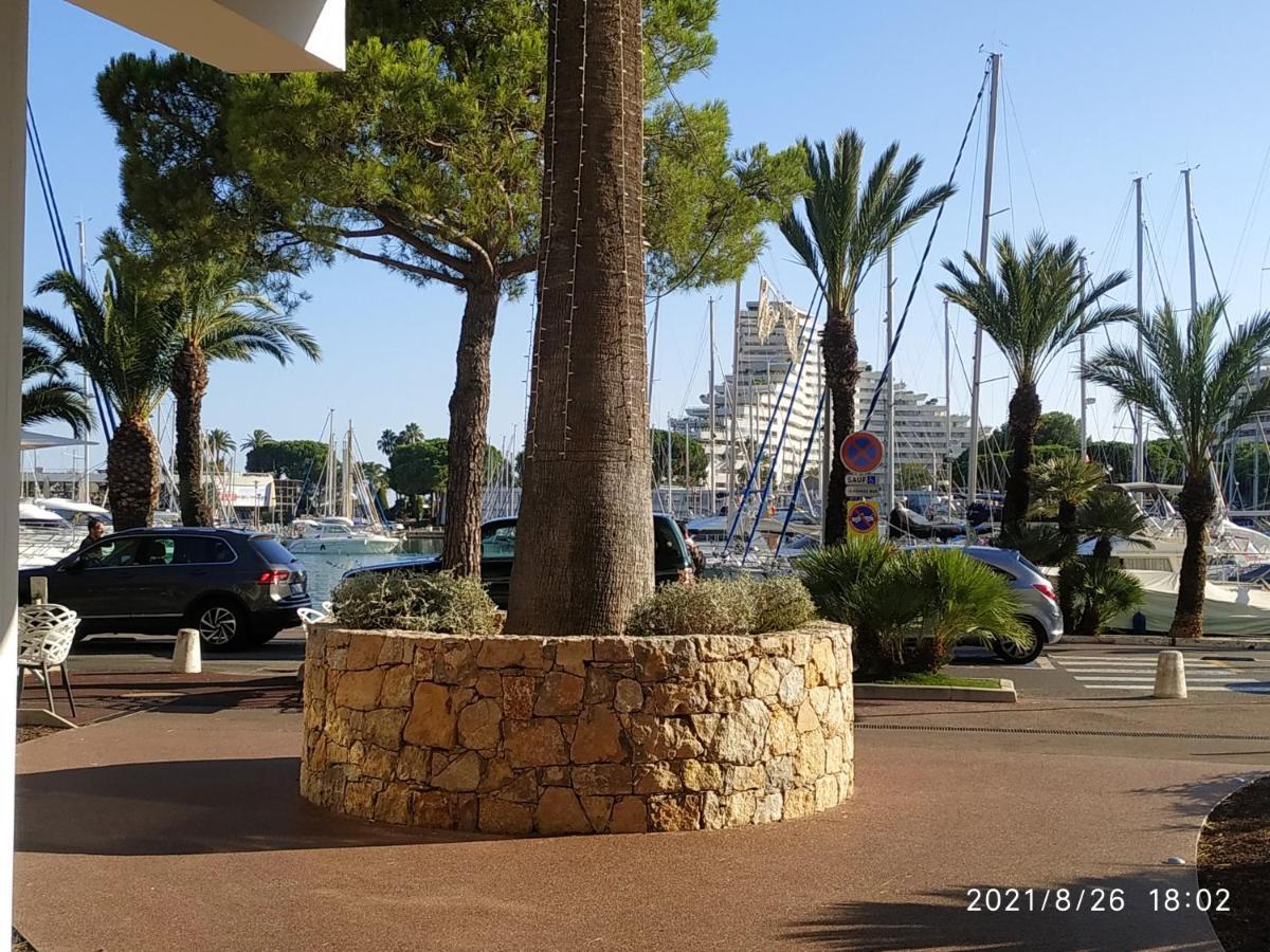 Studio Rez De Jardin Marina Baie Des Anges 빌뇌브루베 외부 사진